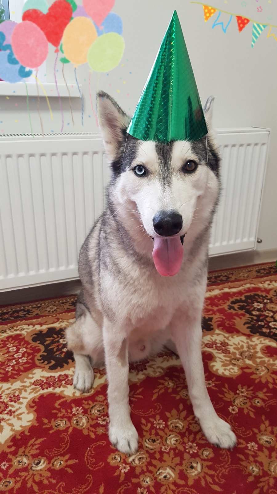 Photo first birthday