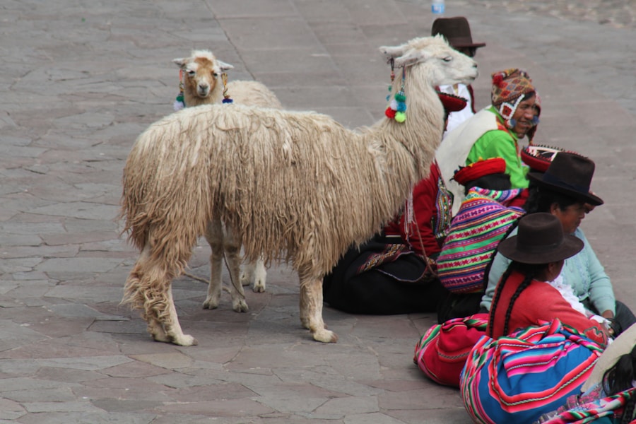 Photo poncho